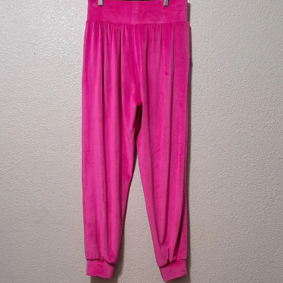 Victoria's Secret Pink Velour Jogger Pants Size Small Athleisure Loungewear - Picture 6 of 6